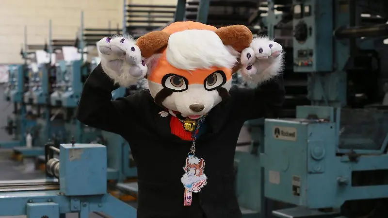 Furros, una combinación entre la creatividad y el arte